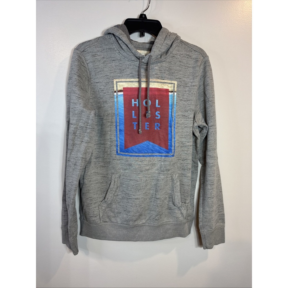 Hollister Unisex Small Gray Hooded Sweatshirt Pullover Surf Coastal Beach Grunge